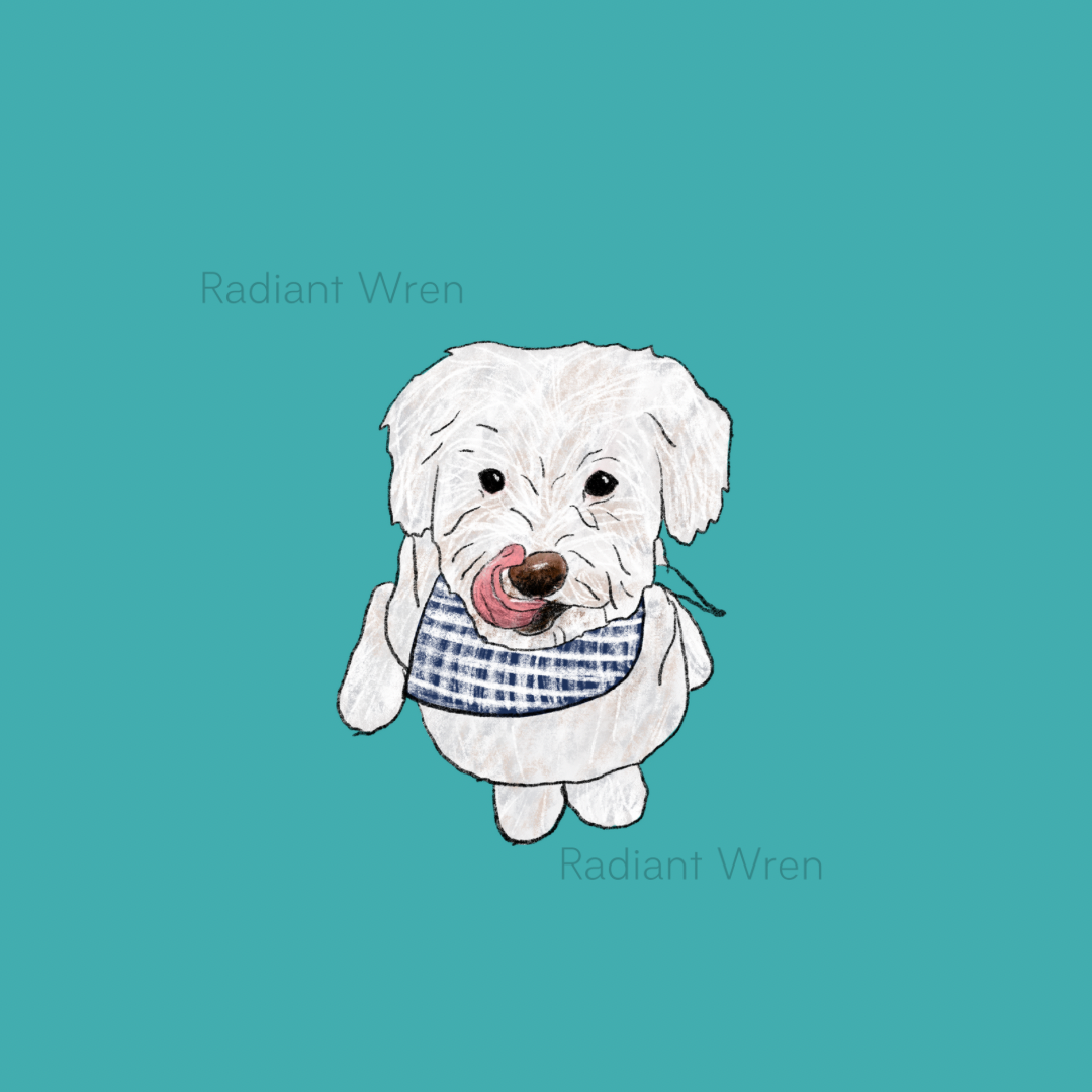 Dog Drawing | Mini Art Print
