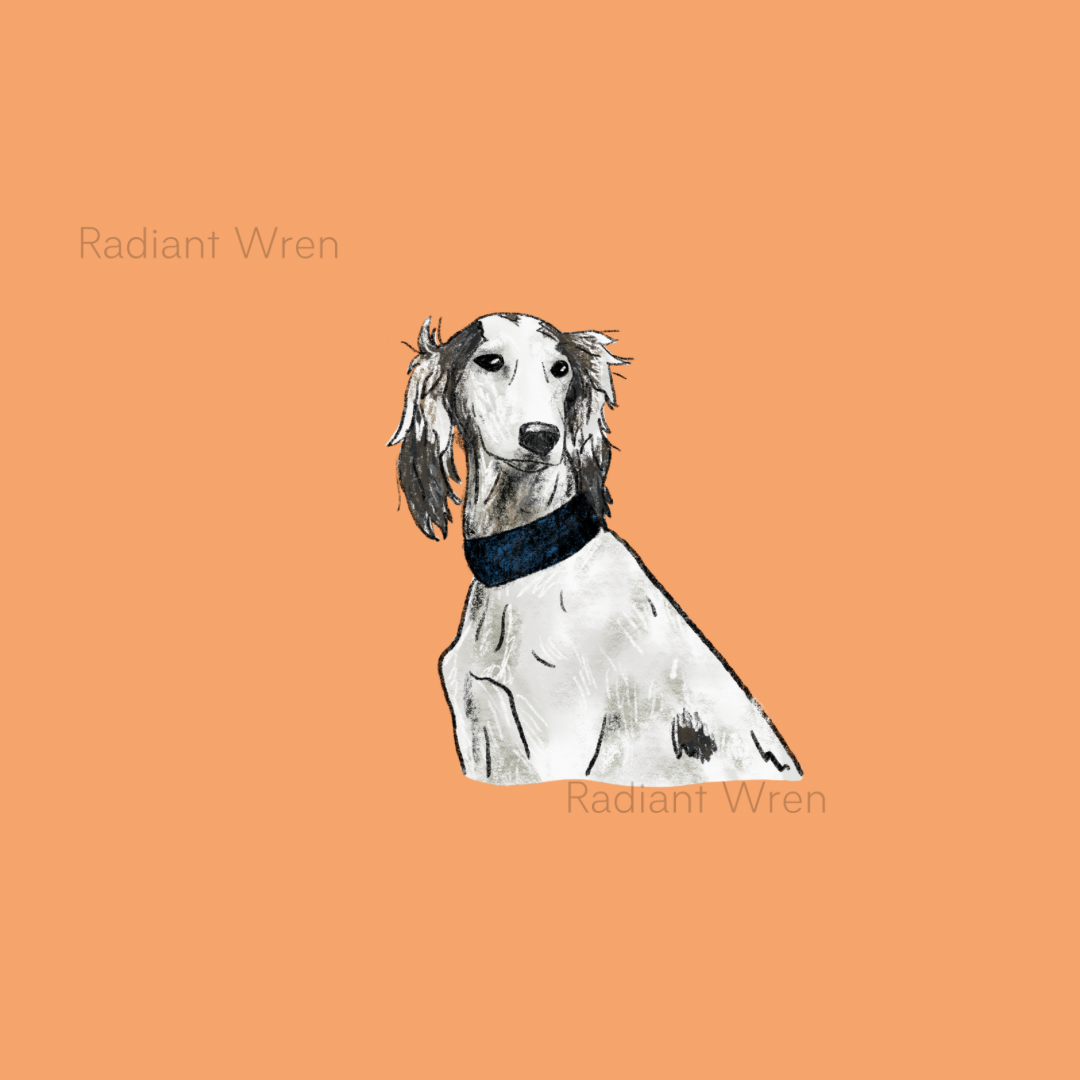 Dog Drawing | Mini Art Print