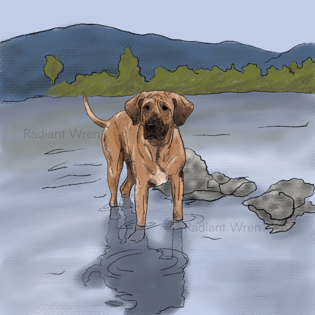 Dog Drawing | Mini Art Print