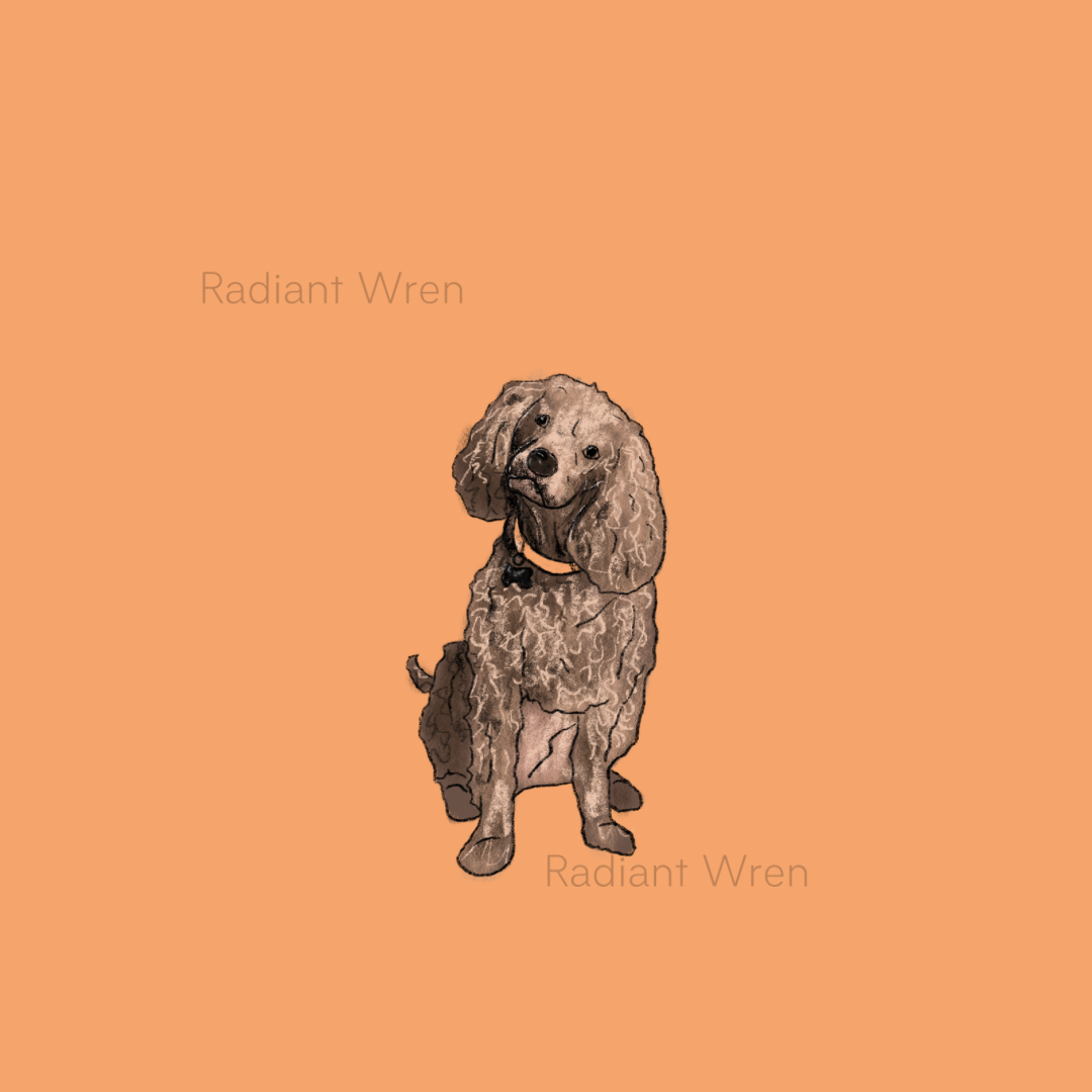 Dog Drawing | Mini Art Print
