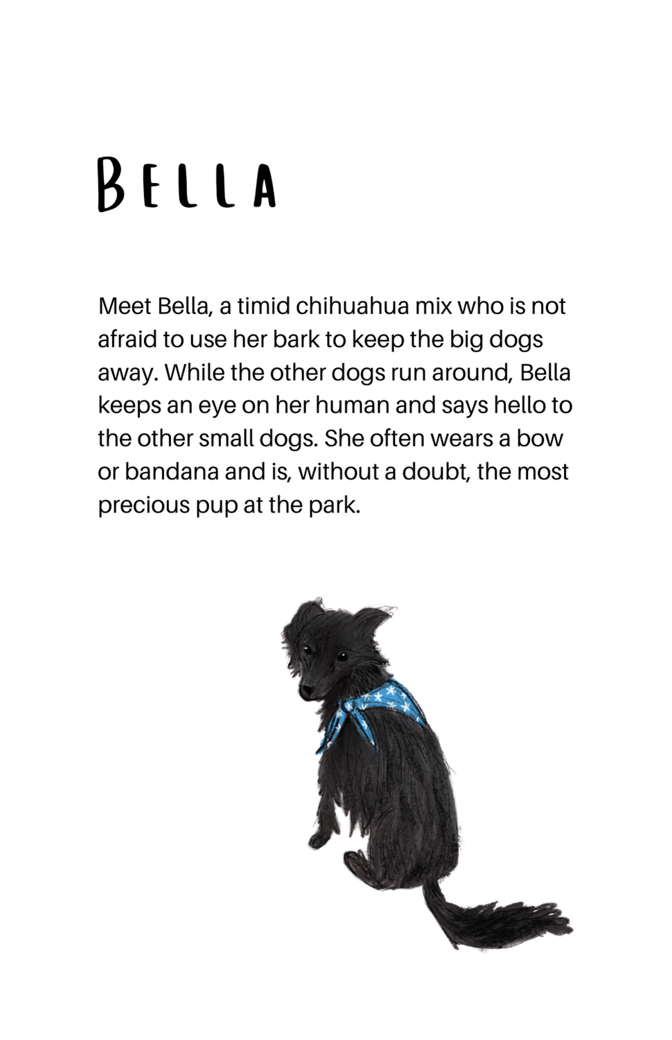 Unofficial Dog Park Zine, Issue #1