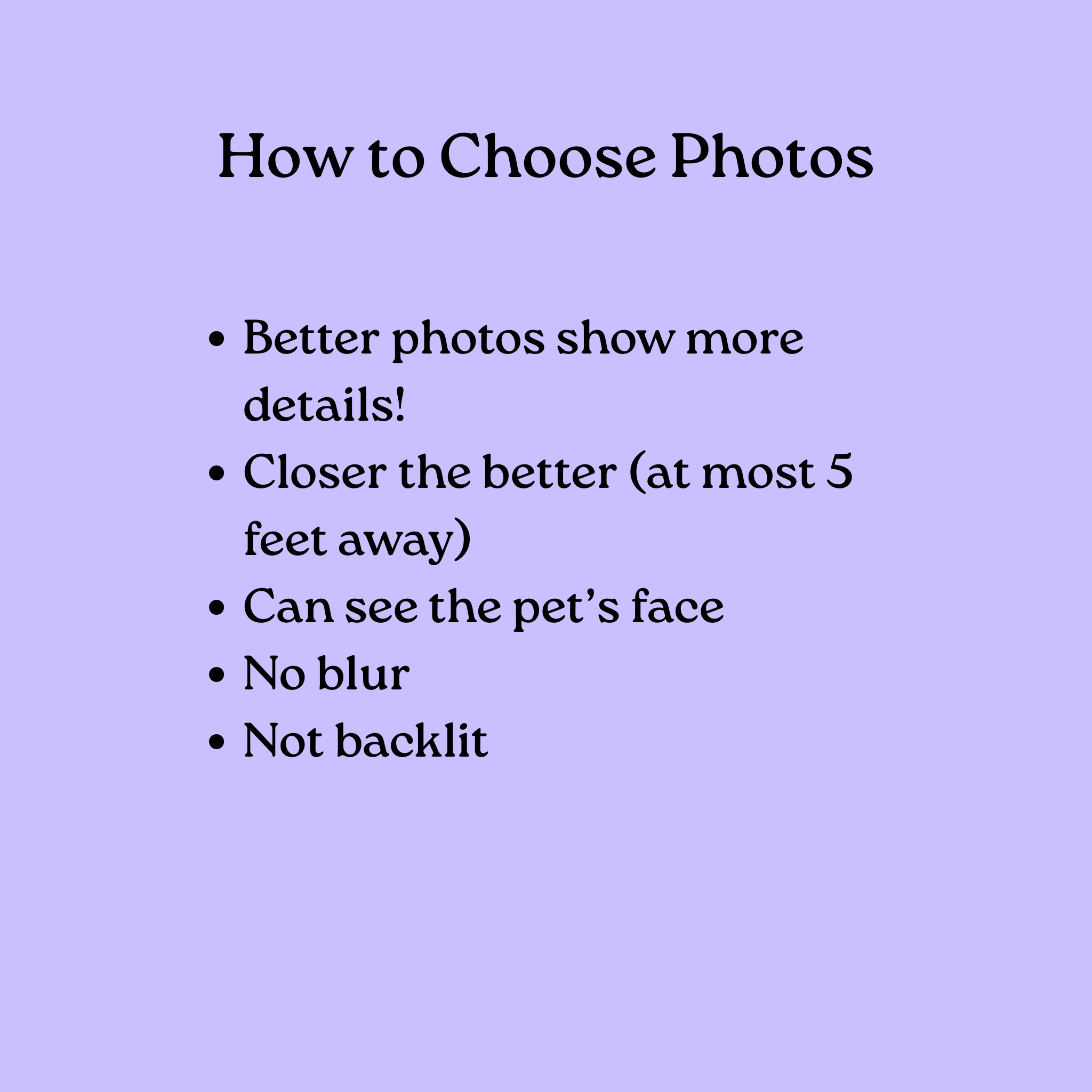 Custom Pet Portrait by Radiant Wren