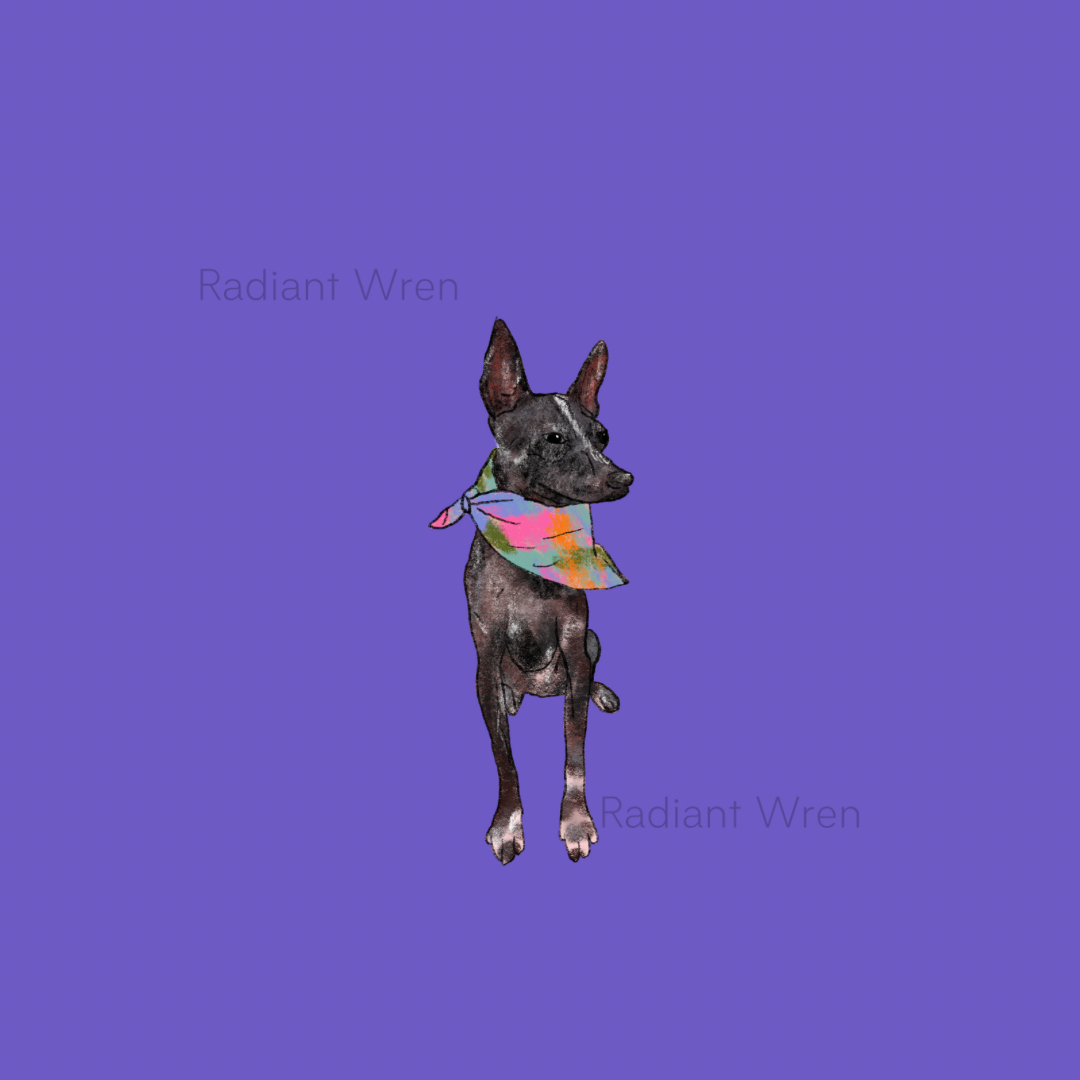 Dog Drawing | Mini Art Print
