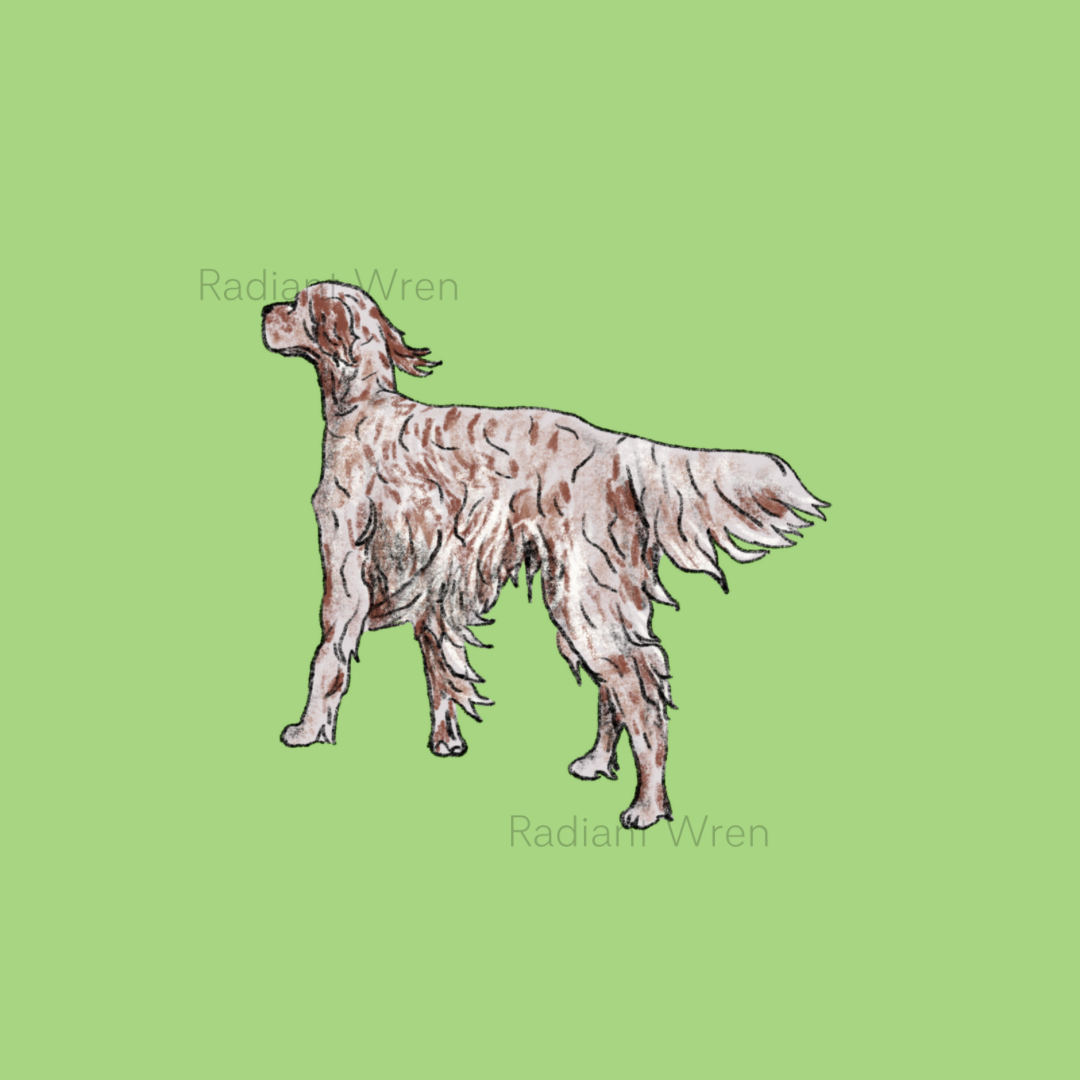 Dog Drawing | Mini Art Print