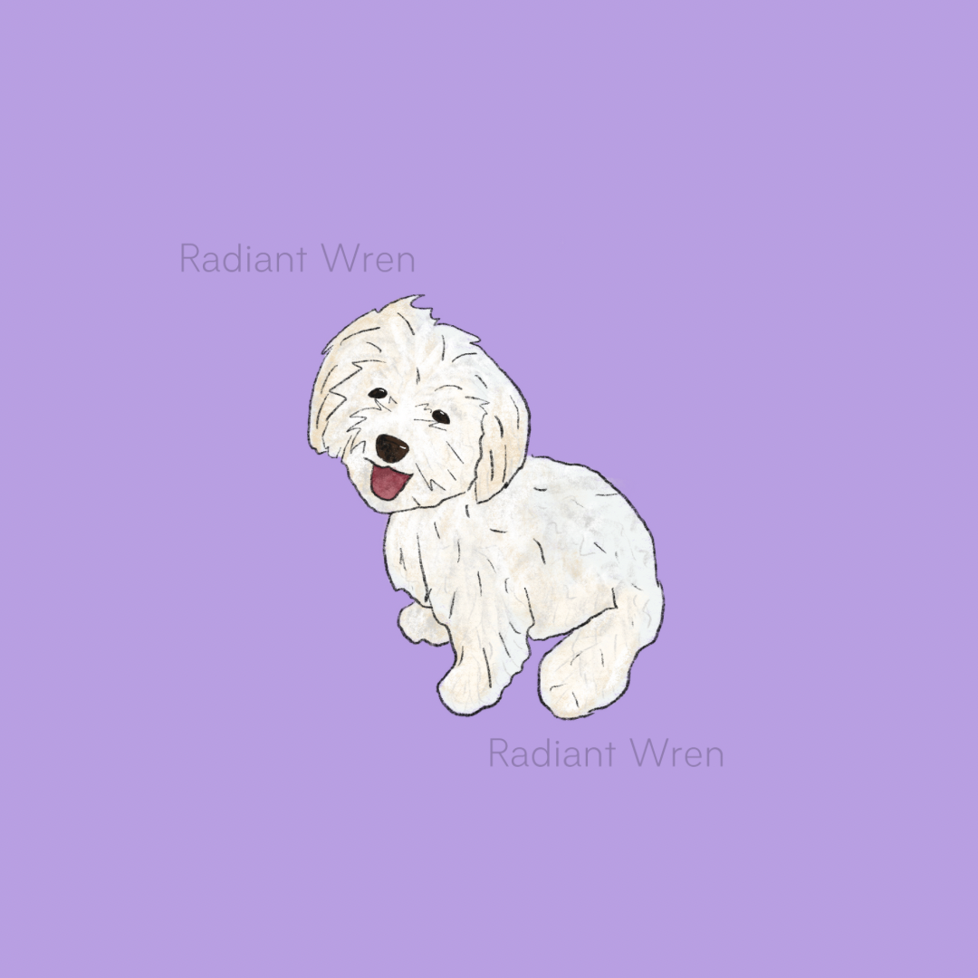 Dog Drawing | Mini Art Print