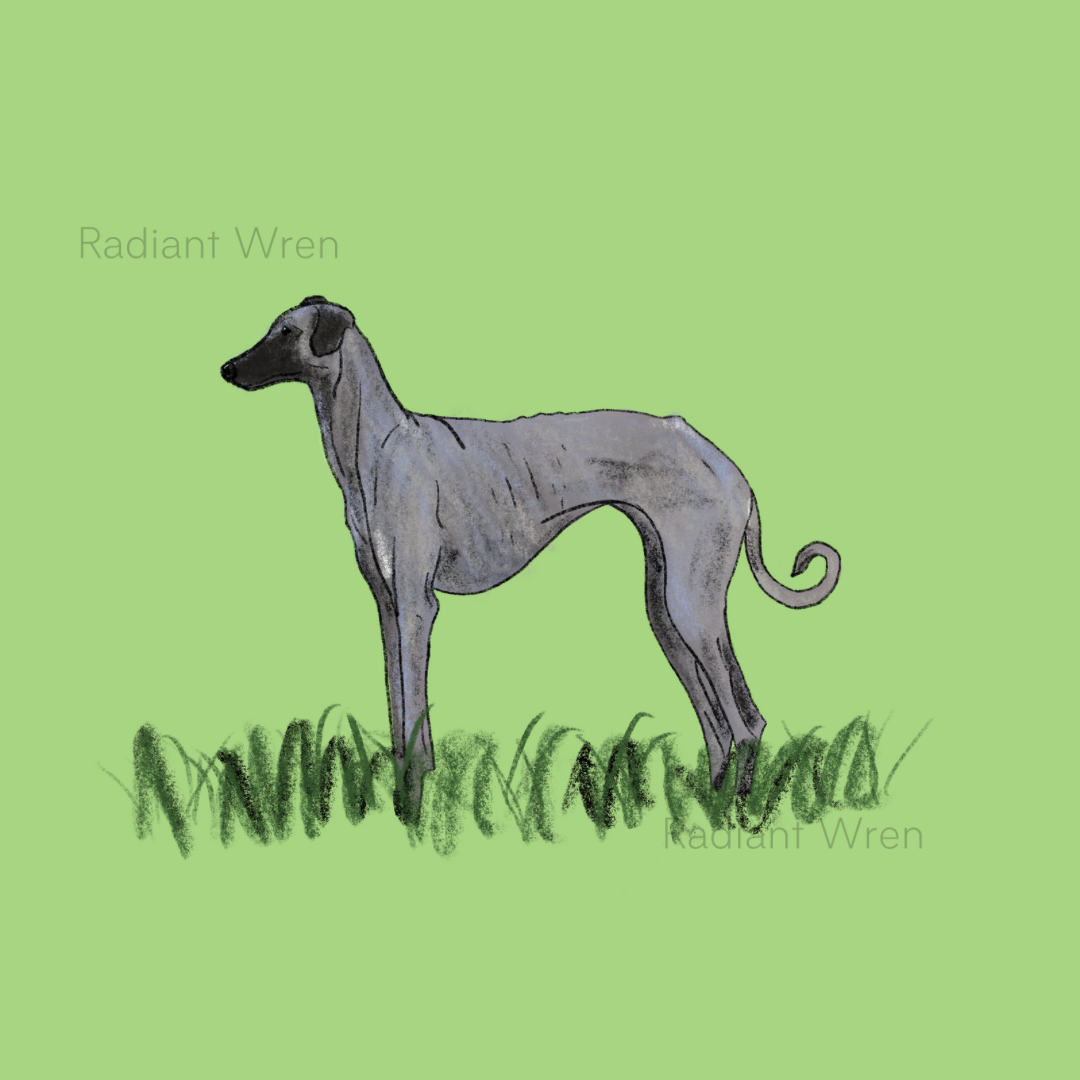 Dog Drawing | Mini Art Print