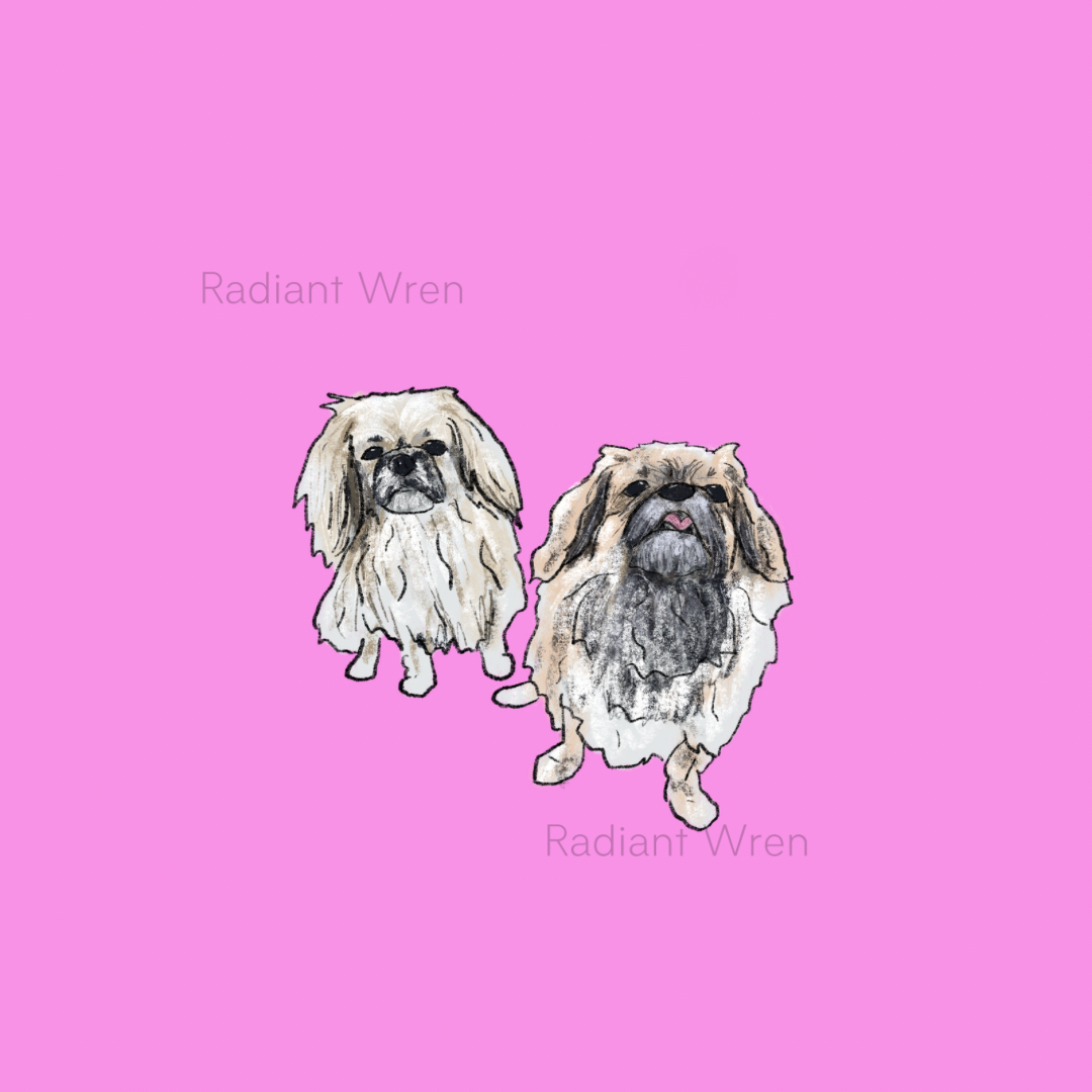 Dog Drawing | Mini Art Print